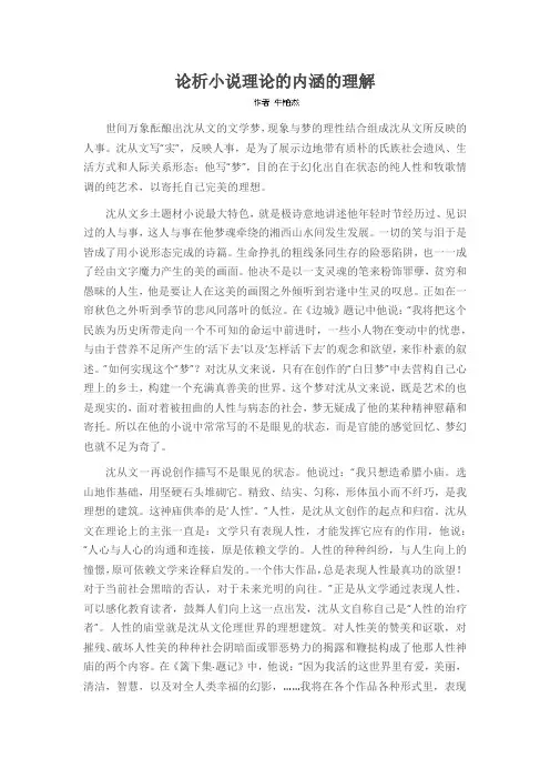 论析小说理论的内涵的理解