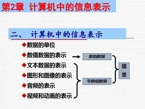第四讲：计算机中的数据表示---2、数值型与非数值型数据