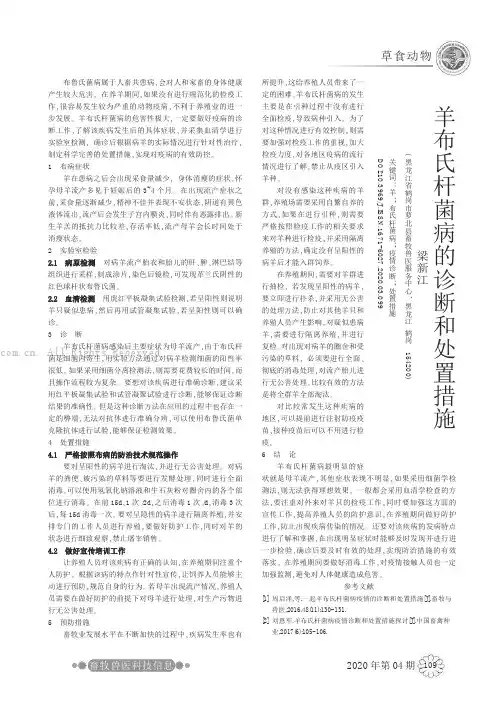 羊布氏杆菌病的诊断和处置措施