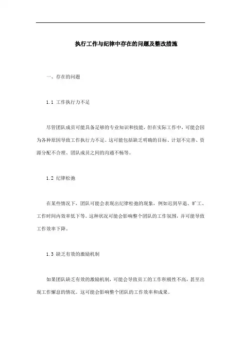 执行工作,纪律方面存在的问题及整改措施