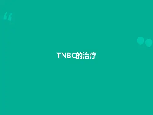 NBC三阴乳癌ppt课件
