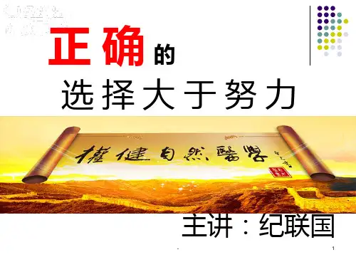 正确的选择大于努力---何阿兰PPT课件