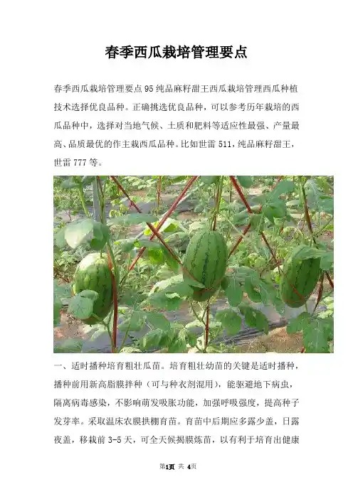 春季西瓜栽培管理要点