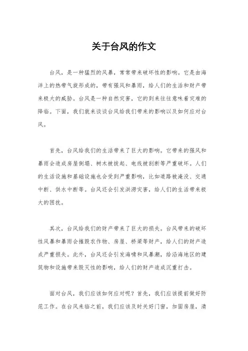 关于台风的作文