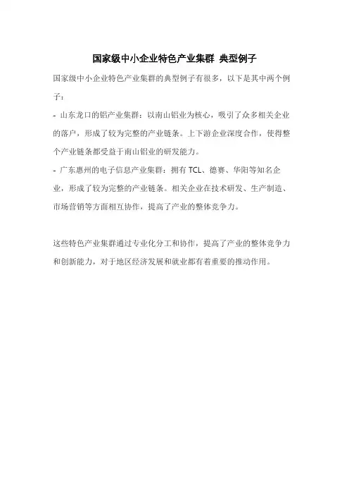 国家级中小企业特色产业集群 典型例子