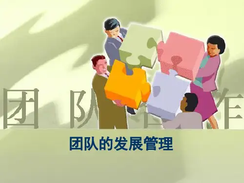 营销团队的发展管理.ppt