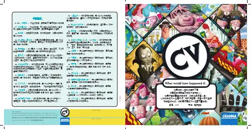 CV 人生履历 规则