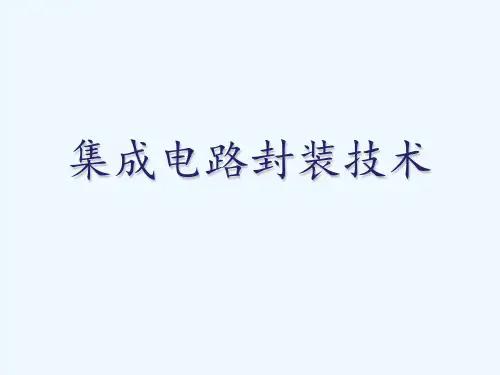 封装工艺流程 ppt课件