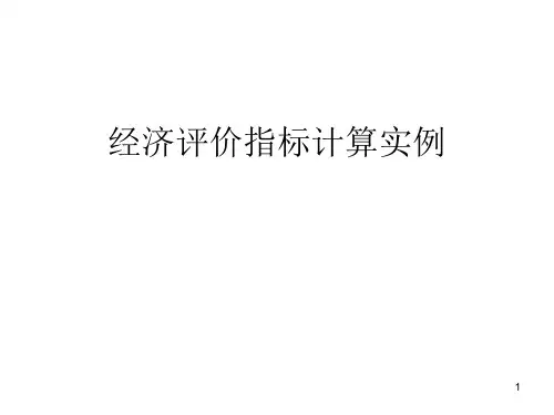 5经济评价指标计算实例