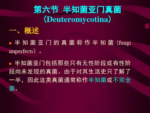 半知菌亚门