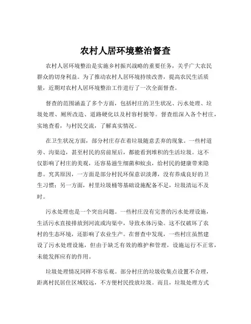 农村人居环境整治督查