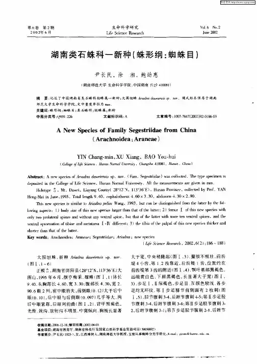 湖南类石蛛科一新种(蛛形纲：蜘蛛目)