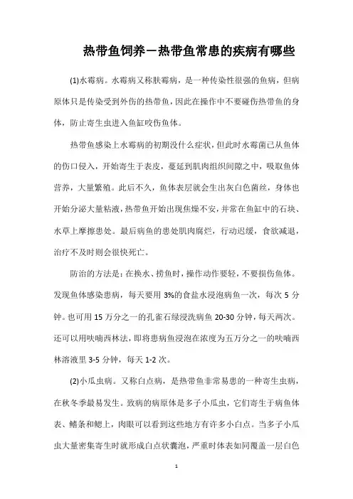 热带鱼饲养-热带鱼常患的疾病有哪些