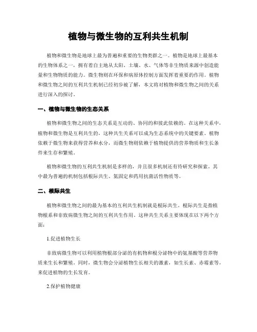 植物与微生物的互利共生机制