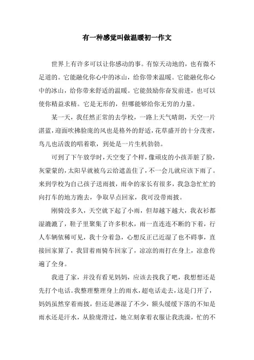 有一种感觉叫做温暖初一作文
