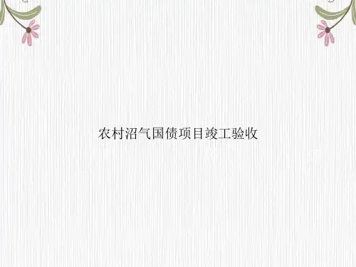 农村沼气国债项目竣工验收