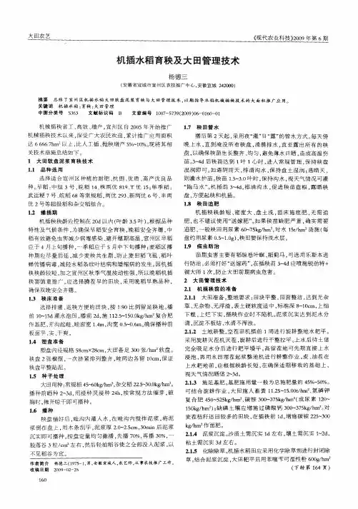 机插水稻育秧及大田管理技术