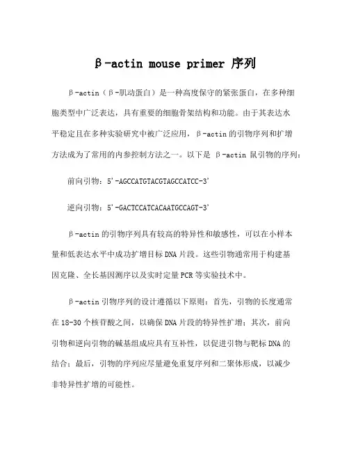 β-actin mouse primer 序列