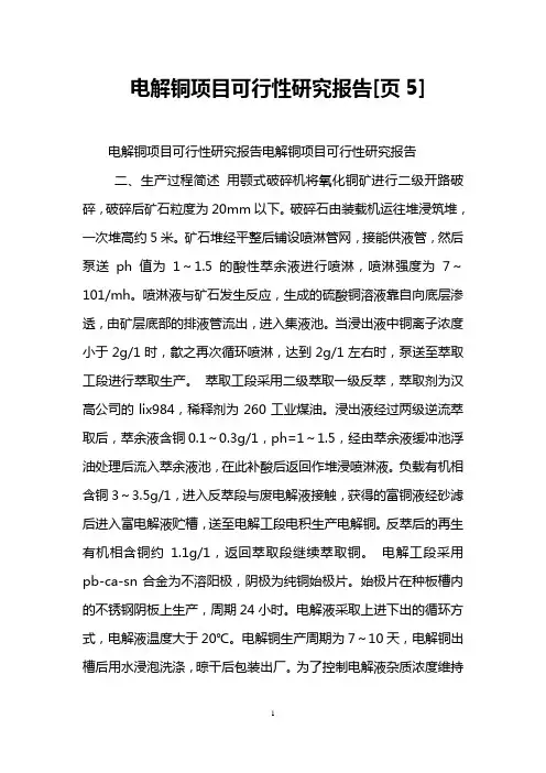 电解铜项目可行性研究报告[页5]