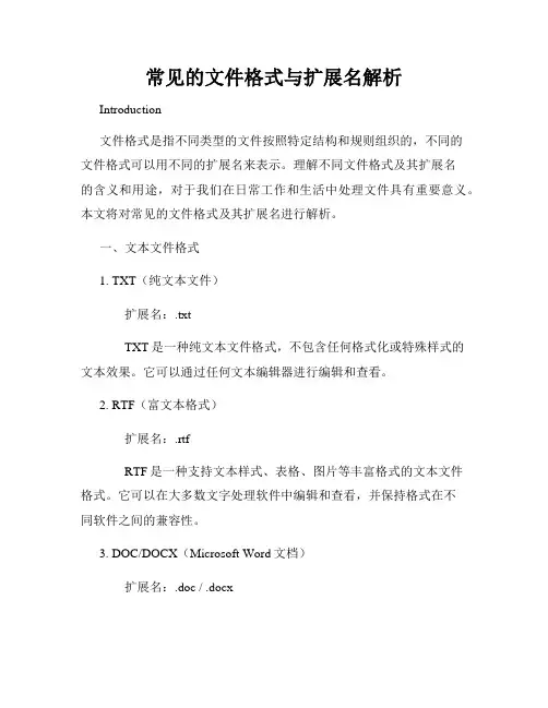 常见的文件格式与扩展名解析