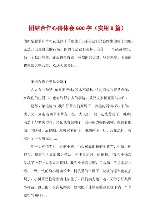 团结合作心得体会600字(实用8篇)