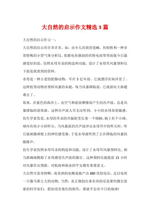 大自然的启示作文精选3篇