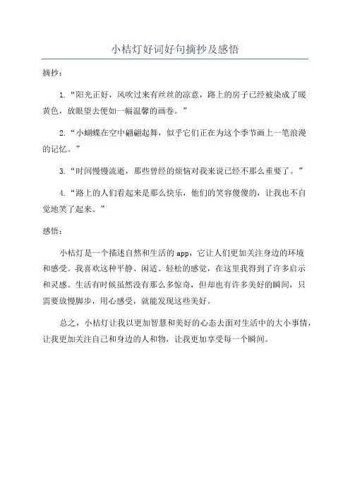小桔灯好词好句摘抄及感悟