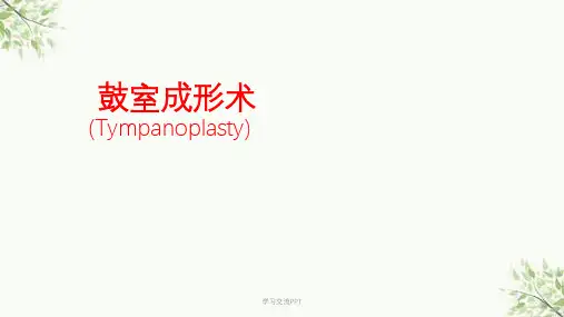 鼓室成形术课件