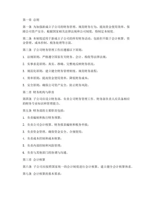 新成立子公司财务管理制度