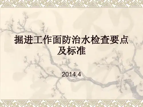 掘进工作面防治水检查要点及标准