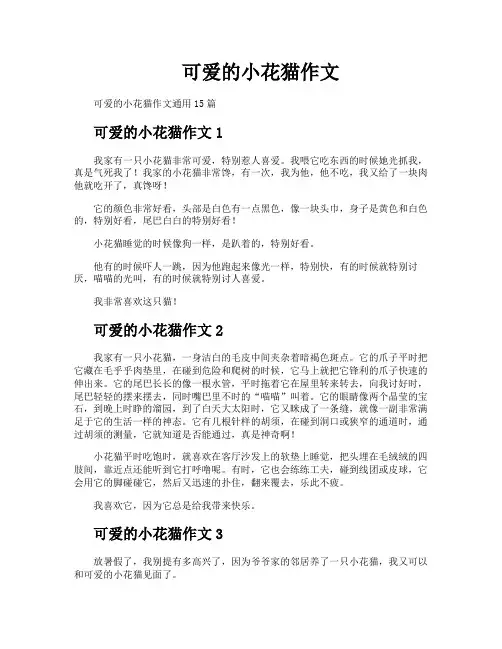 可爱的小花猫作文