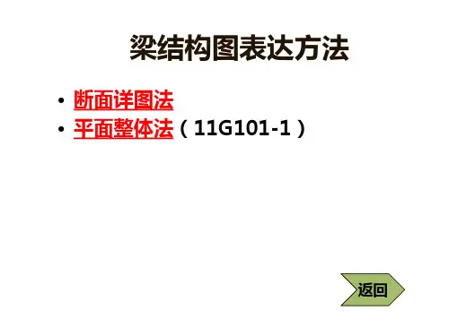 11G101-2图解说明梁板平法配筋