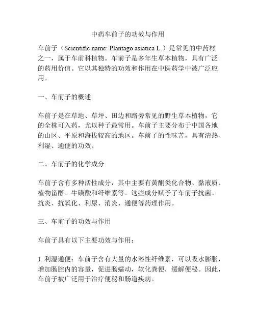 中药车前子的功效与作用