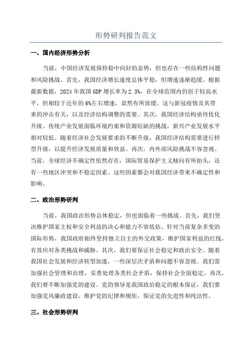 形势研判报告范文