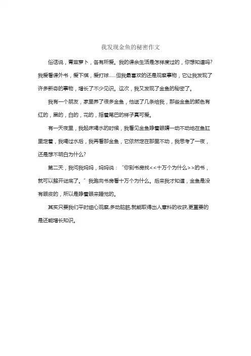 我发现金鱼的秘密作文