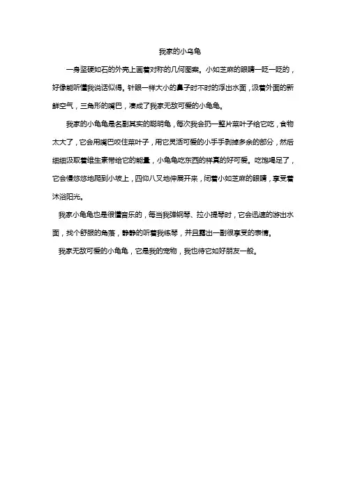 我家的小乌龟  