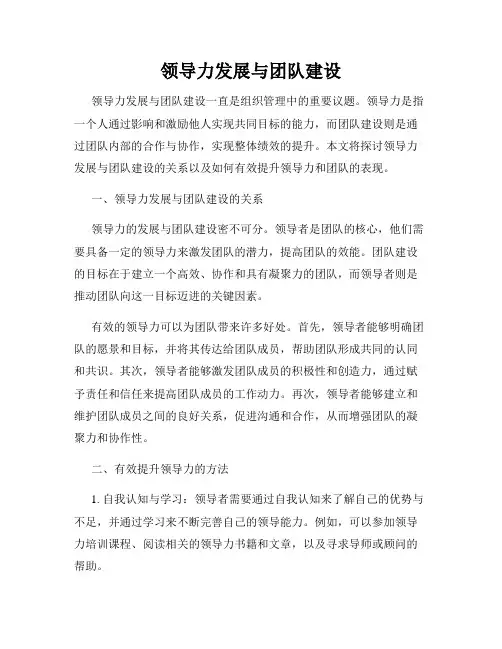 领导力发展与团队建设