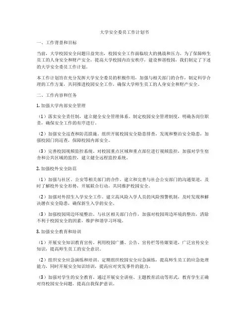 大学安全委员工作计划书