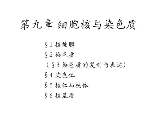 细胞生物学-第九章细胞核与染色质