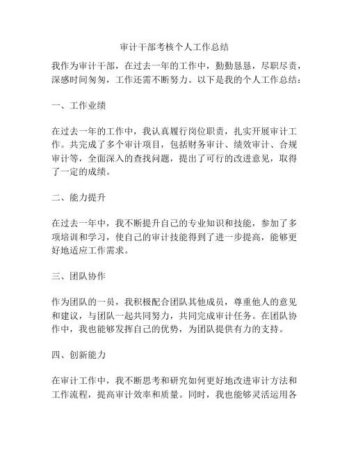 审计干部考核个人工作总结