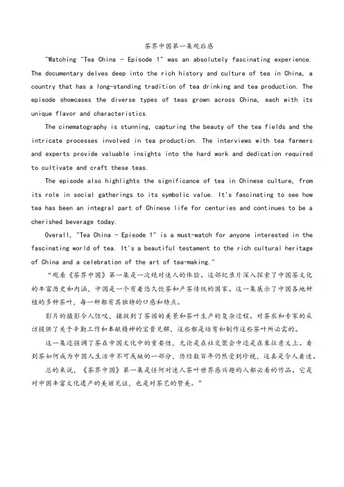 茶界中国第一集观后感