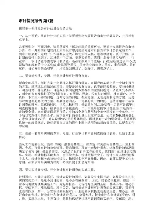 审计情况报告(热门10篇)