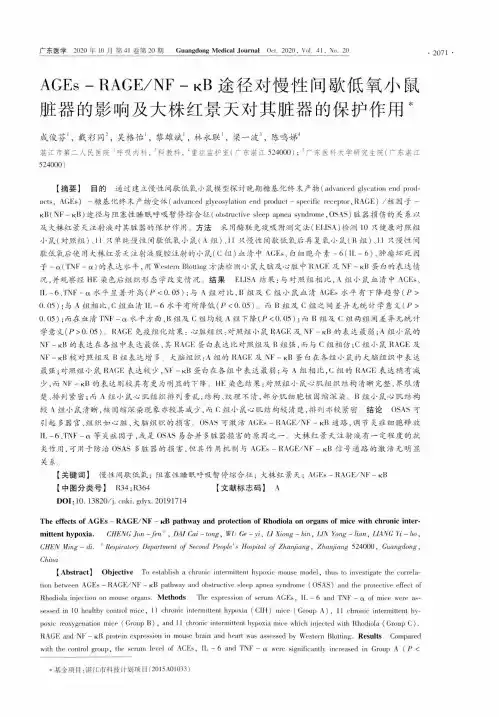AGEs-RAGENF-κB途径对慢性间歇低氧小鼠脏器的影响及大株红景天对其脏器的保护作用