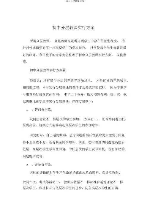 初中分层教学方案