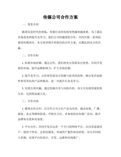 传媒公司合作方案