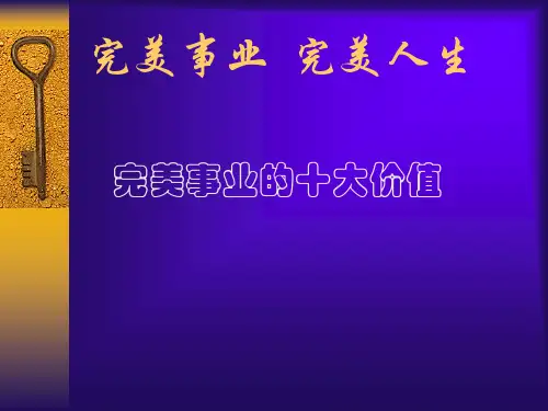 完美的十大价值与远景分析