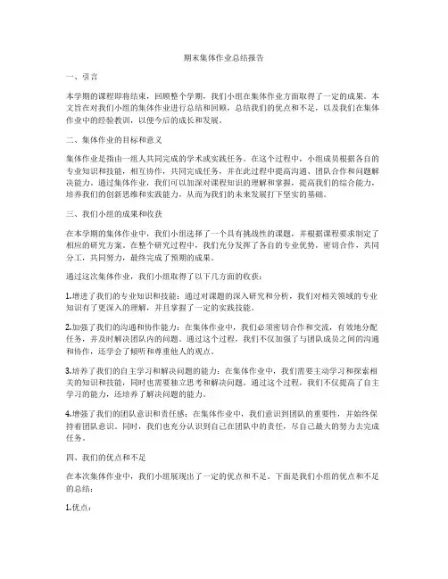 期末集体作业总结报告