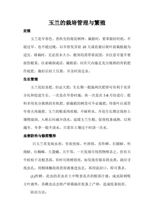 玉兰的栽培管理与繁殖