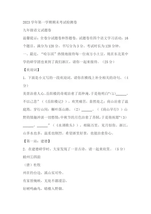 河南省平顶山市湛河区2023-2024学年九年级上学期期末语文试题(含答案)