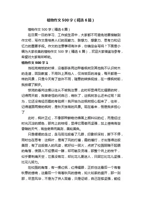 植物作文500字（精选6篇）